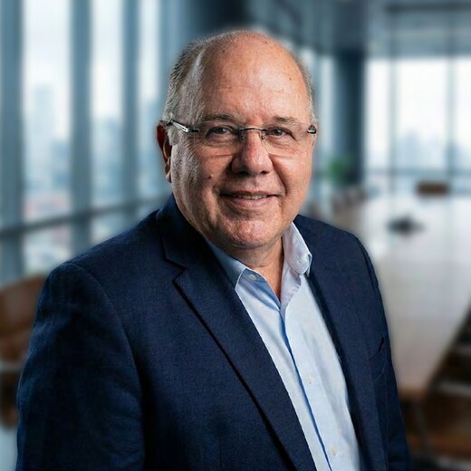 Luiz G. F. dos Santos — Green Palm
