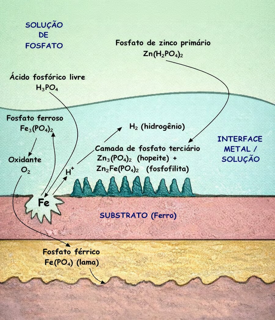 Esquema do mecanismo de formação da camada de fosfato